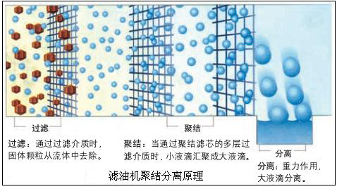 http://www.aqbiluo.cn/